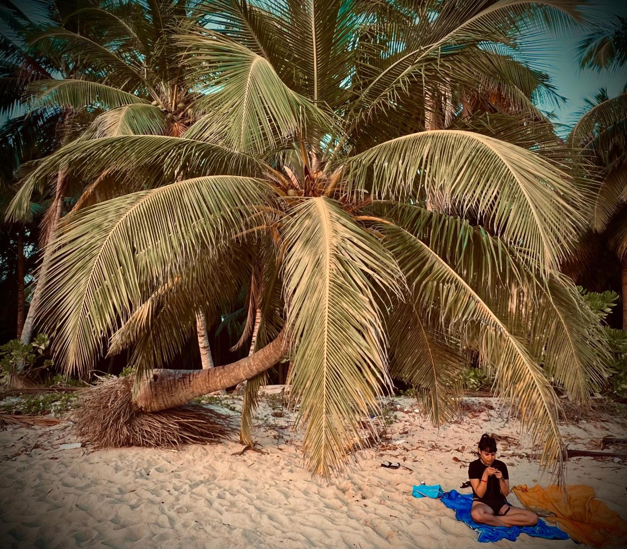 Blue Sea Restaurant & Bungalows Sitapur Luaran gambar